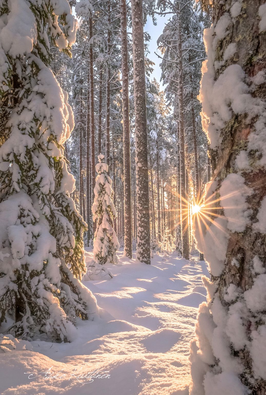 Wintergeuren